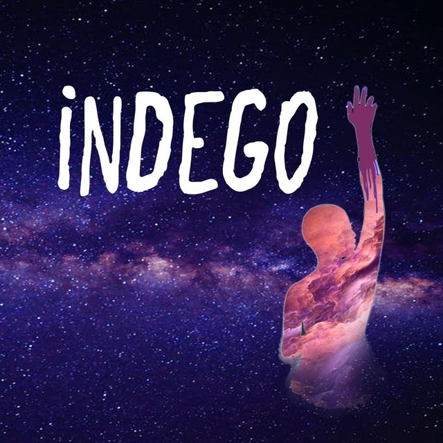 Indego