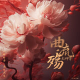 曲流殤 (DJ沈念版)
