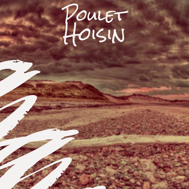 Poulet Hoisin