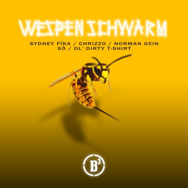 Wespenschwarm