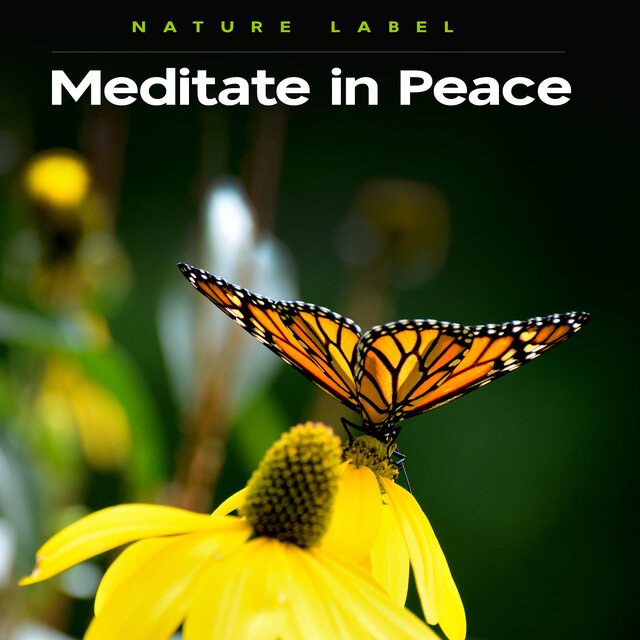 Meditate in Peace