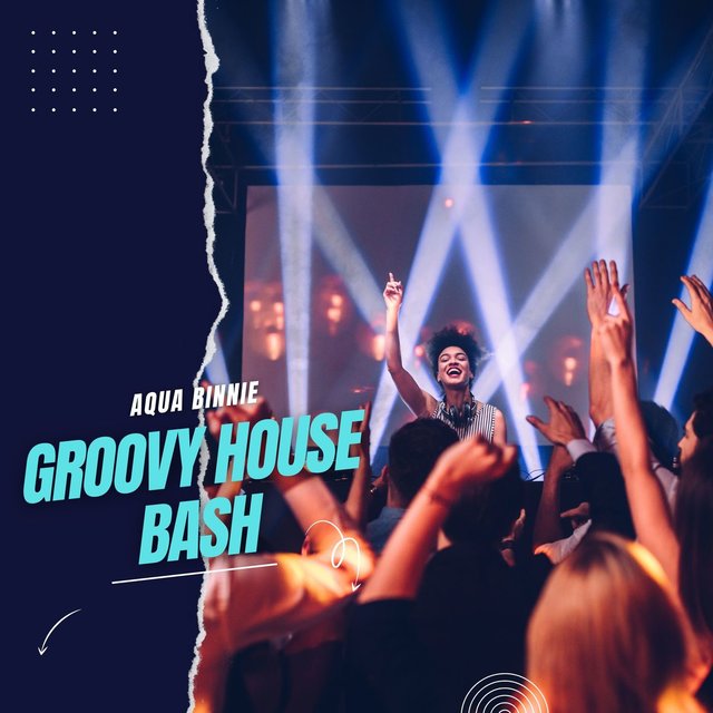 Groovy House Bash