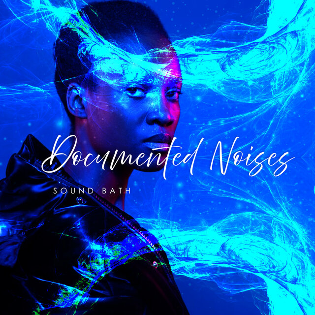 Documented Noises