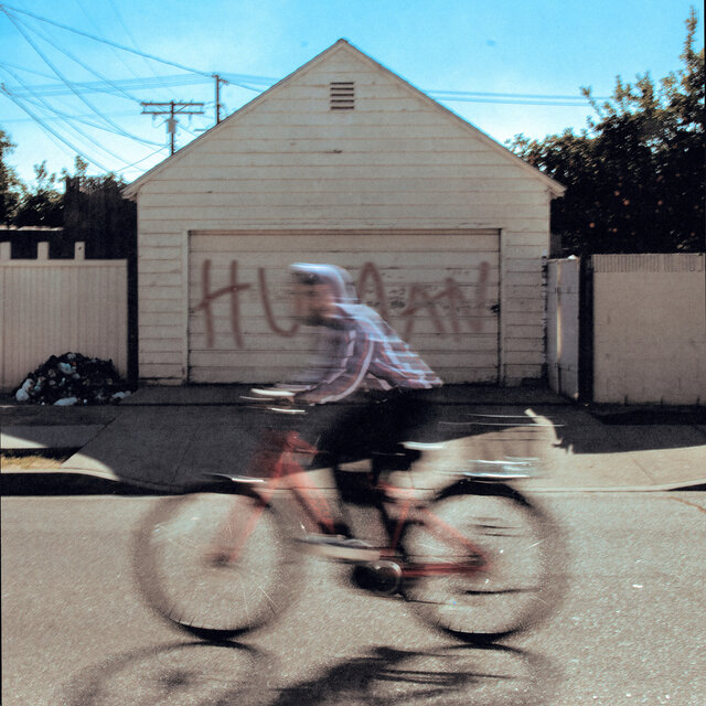 Human