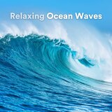 Waves Sounds of Nature