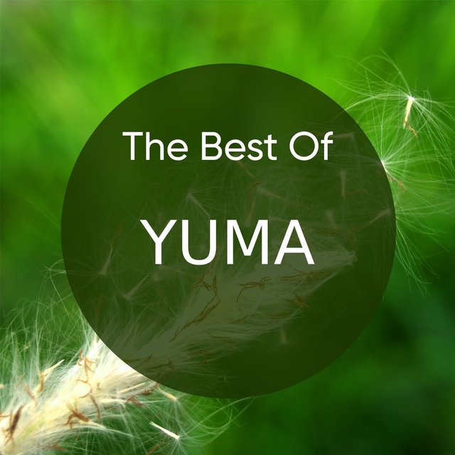 The Best of YUMA