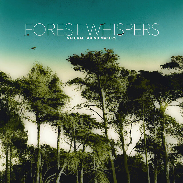 Forest Whispers