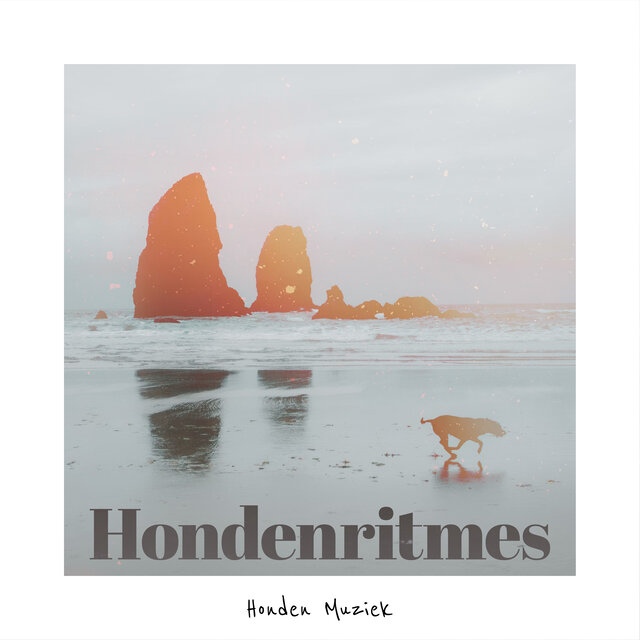 Hondenritmes