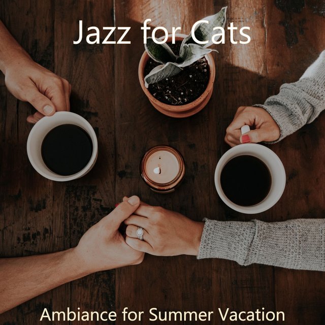 Ambiance for Summer Vacation