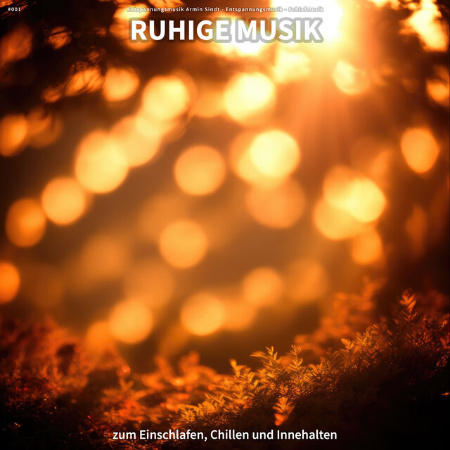 #001 Ruhige Musik zum Einschlafen, Chillen und Innehalten