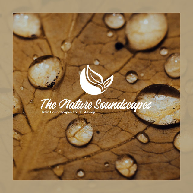 Rain Soundscapes To Fall Asleep