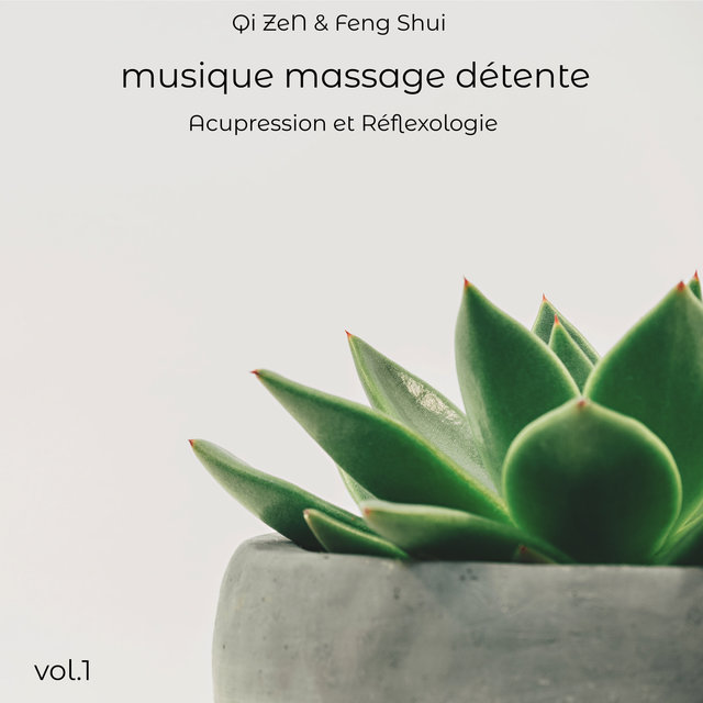 Musique Massage Detente Vol 1 Acupression Et Reflexologie One Hour Long Relaxation Music By Qi Zen Feng Shui On Tidal