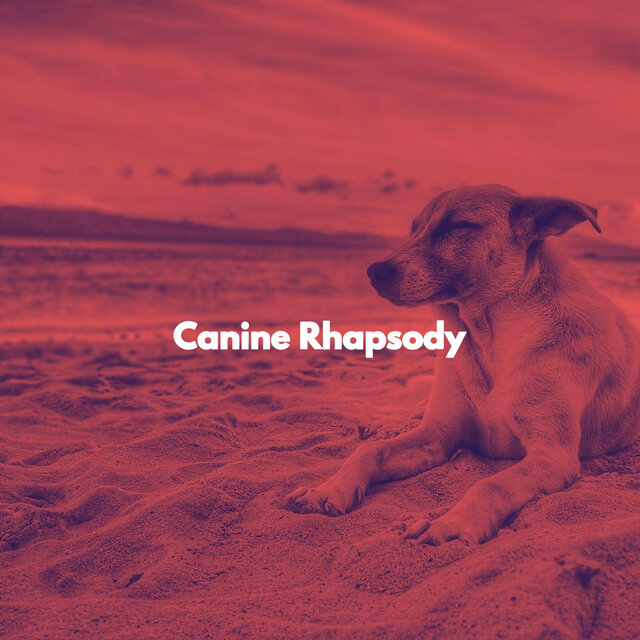 Canine Rhapsody