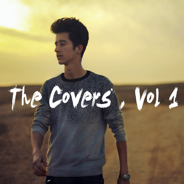 The Covers , Vol. 1