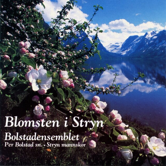 Blomsten i Stryn