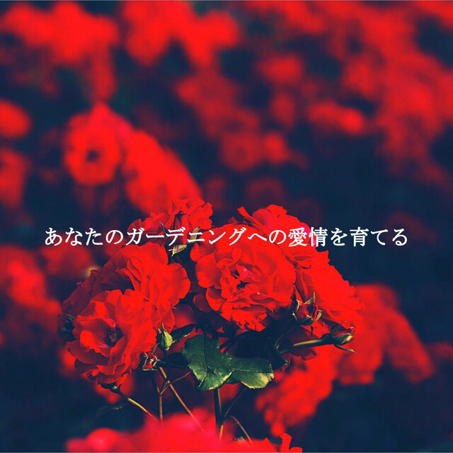 あなたのガーデニングへの愛情を育てる