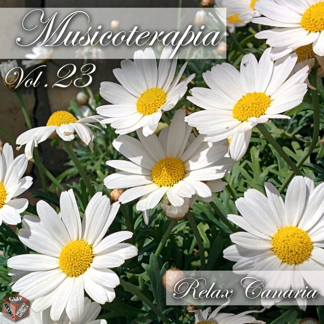Musicoterapia, vol. 23