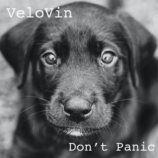 Don't Panic