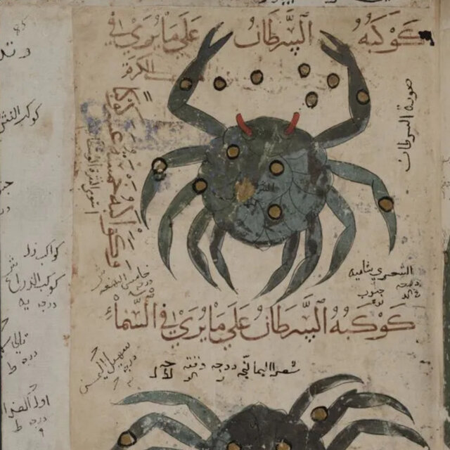 Cover art for album Caranguejo by User