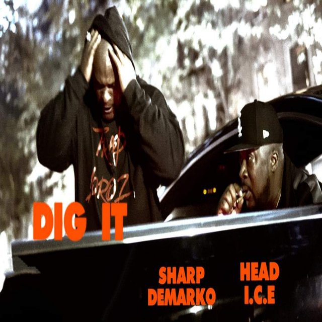 DIG IT (Remix)
