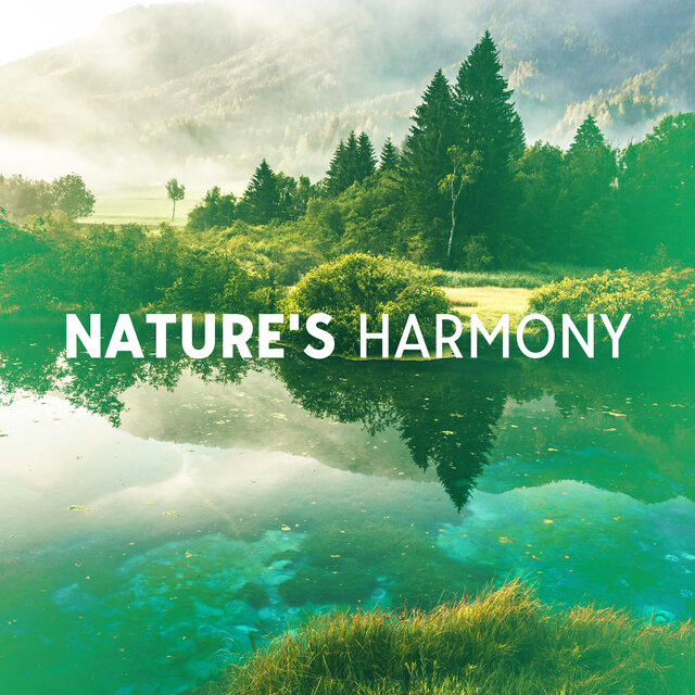 Nature's Harmony: Celebrating World Animal Day through Meditation