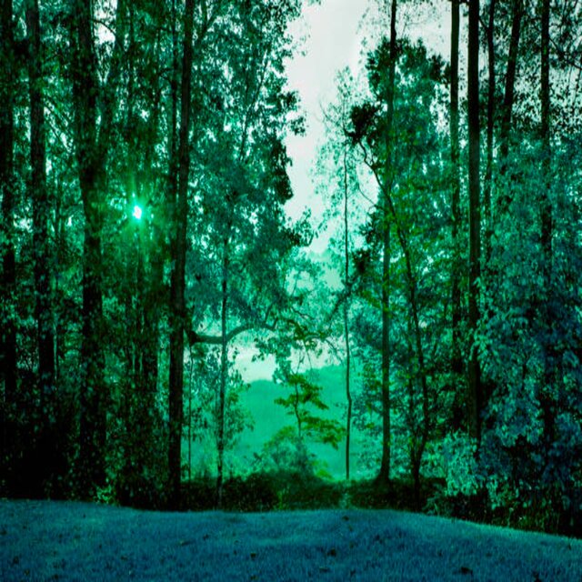 COUNTRYSIDE (DELUXE)
