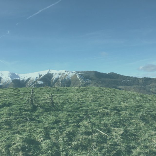 Eagles and Mountains