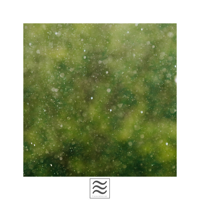 Relaxing Smooth Raining