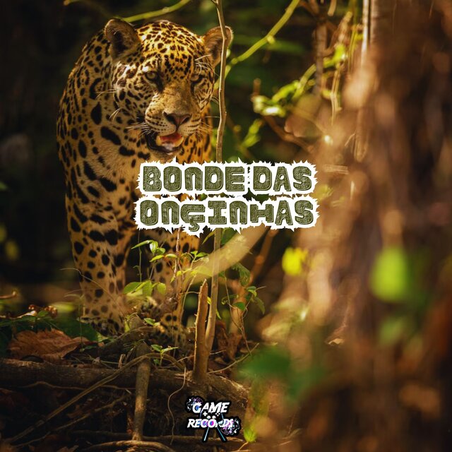Bonde das Onçinhas