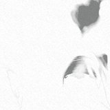 Reverie