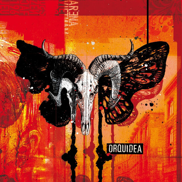 Orquídea
