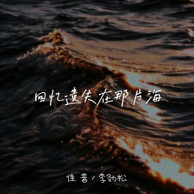 回忆遗失在那片海