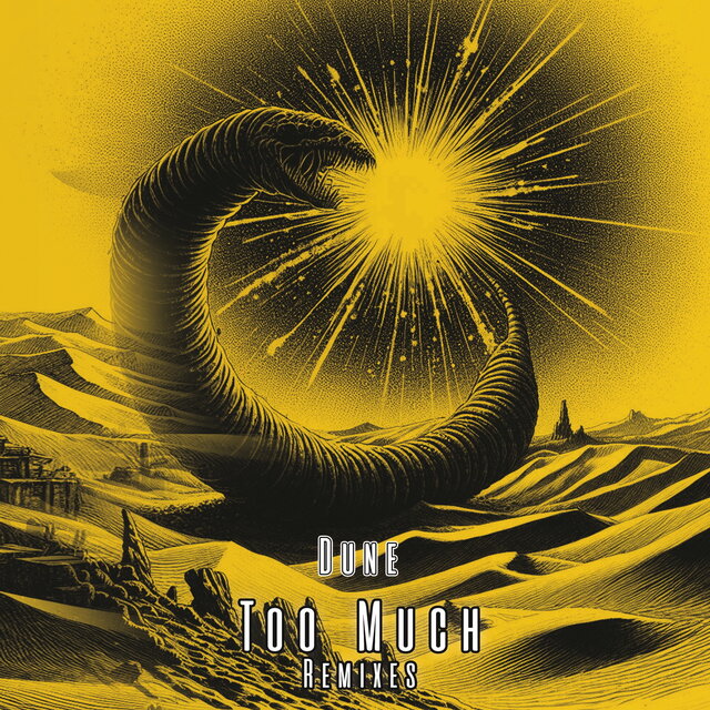 Too Much (Remixes)