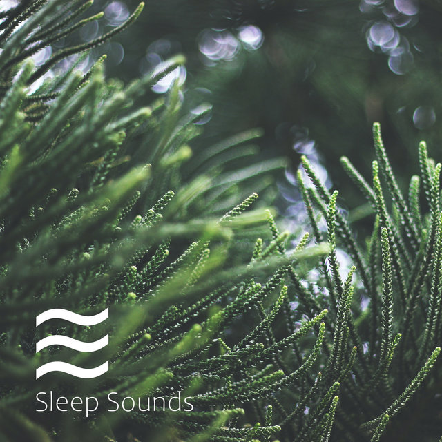 Sleepful Rainfall