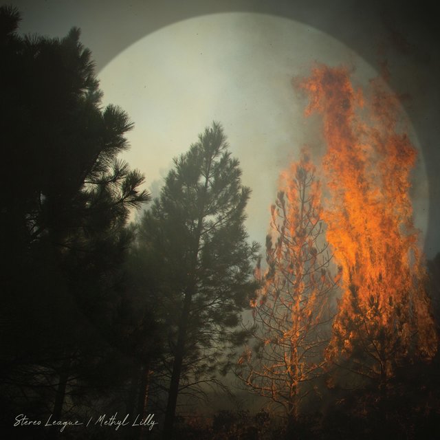Fire/Smoke