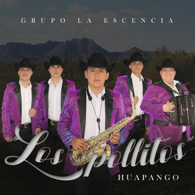 Los Pollitos Huapango