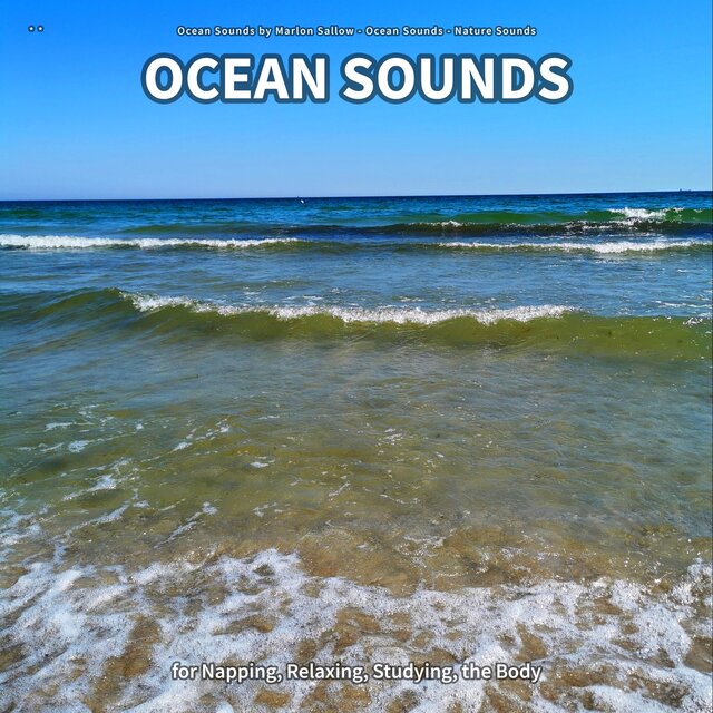 ** Ocean Sounds for Napping, Relaxing, Studying, the Body
