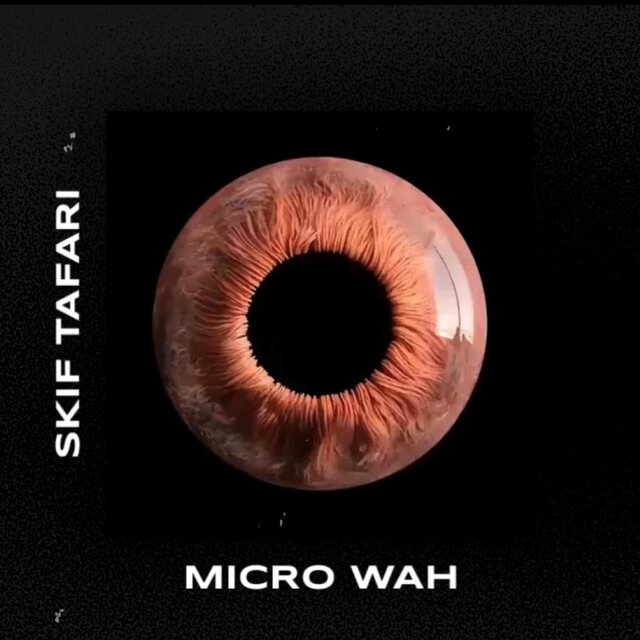 Micro Wah