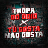 Tropa do Ódio X Tu Gosta Não Gosta