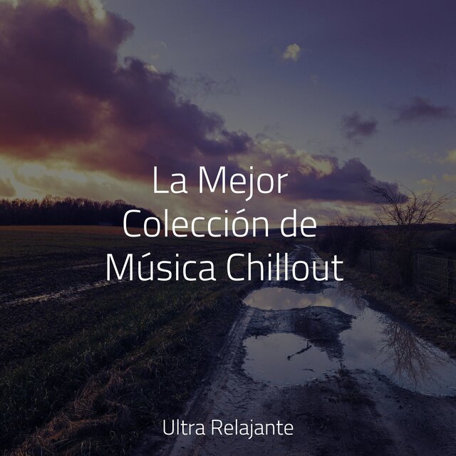 La Mejor Colección de Música Chillout