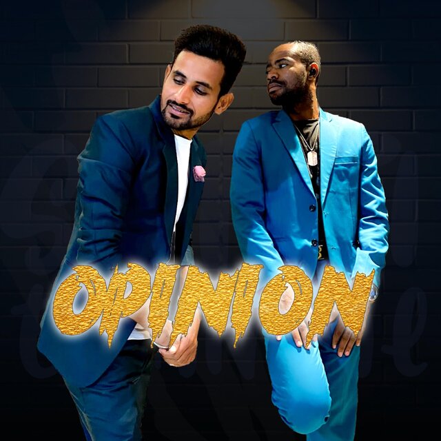 Opinion
