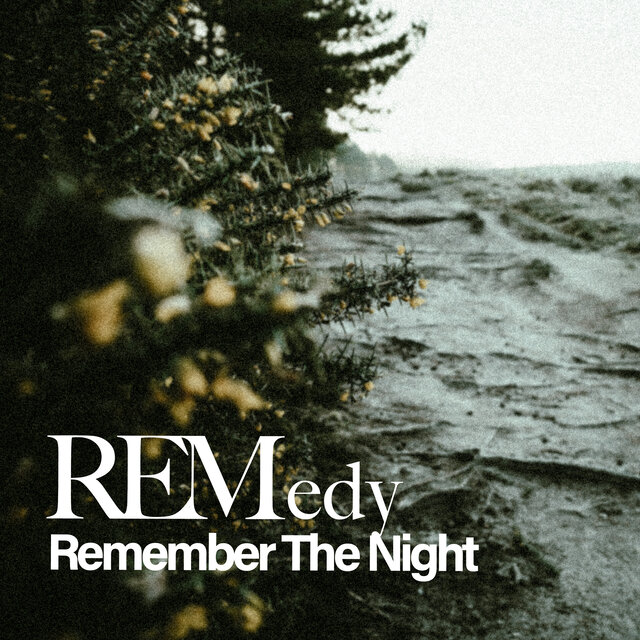 Remember The Night
