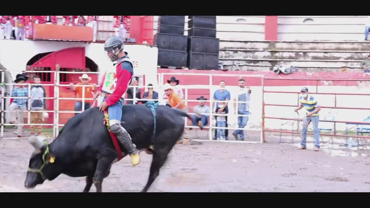 El Toro Del Once