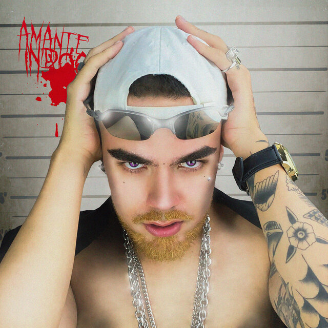 Amante Indócil