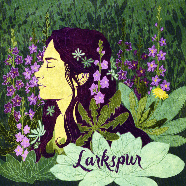 Larkspur