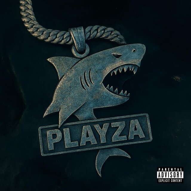 PLAYZA