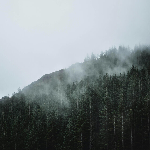 NO RAIN, NO FLOWERS