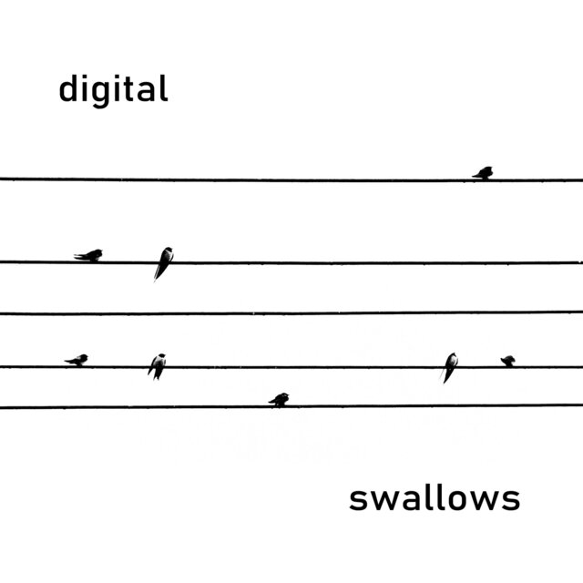 Digital Swallows