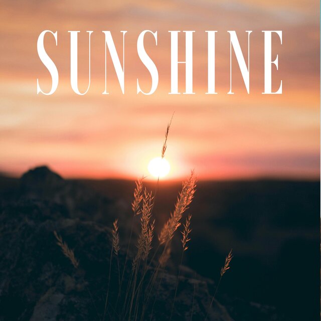 Sunshine
