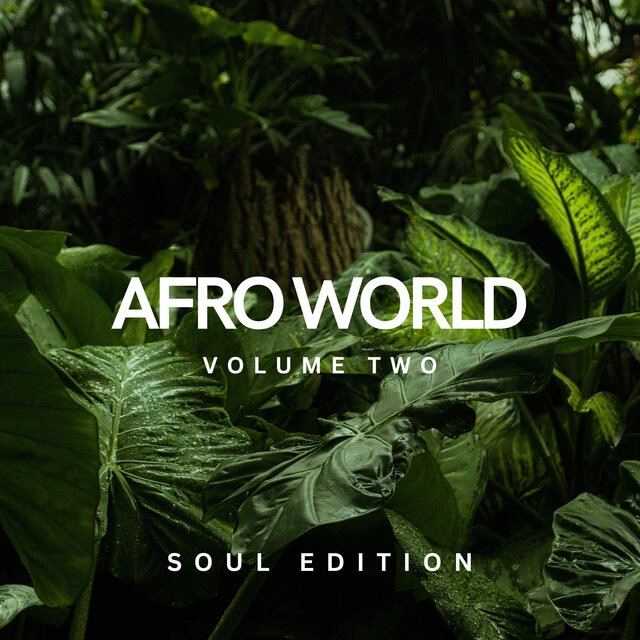 Afro World, Vol. 2